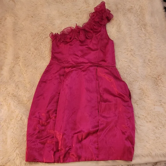 3.1 Phillip Lim Fucshia 1 Shoulder Ruffle Moni Dress Size 6 Small - Picture 5 of 11